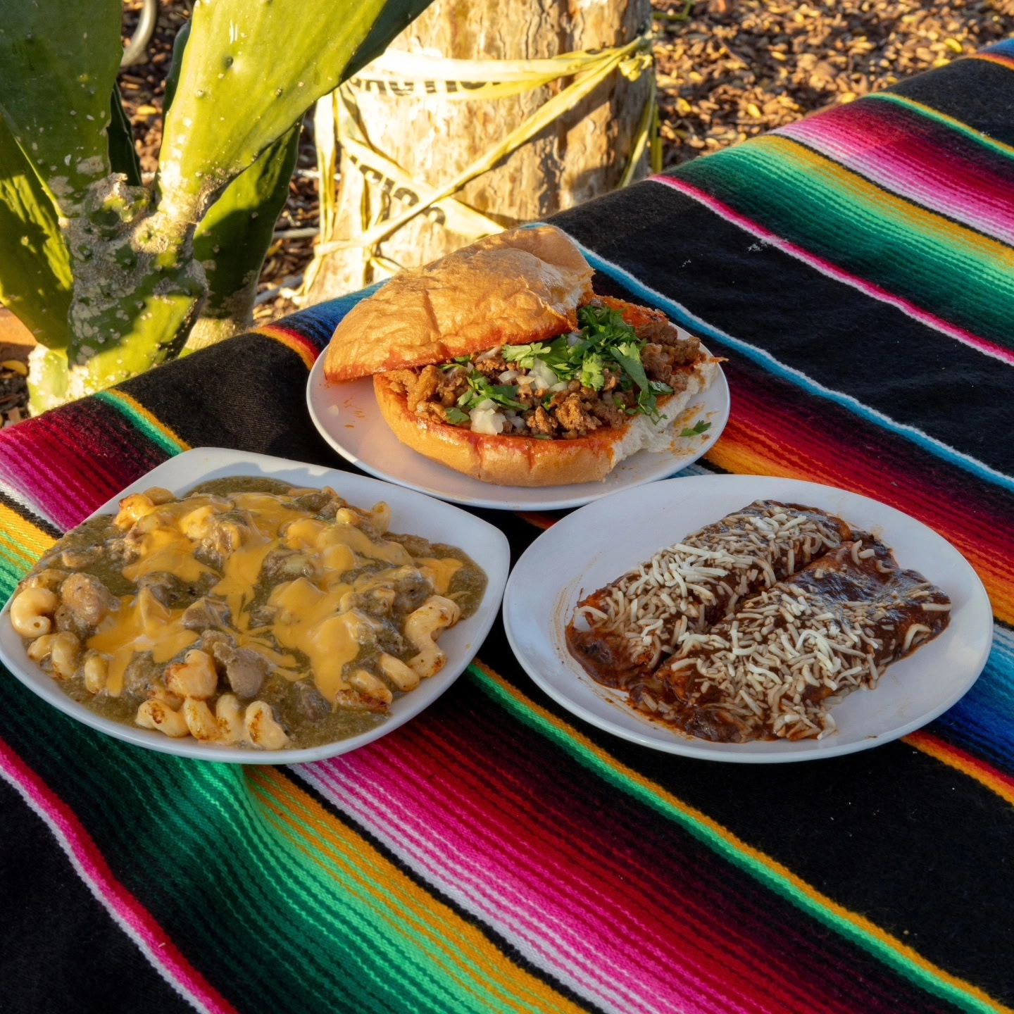 Torta, mac and cheese chili verde and cheese-topped enchiladas served on a striped Mexican blanket