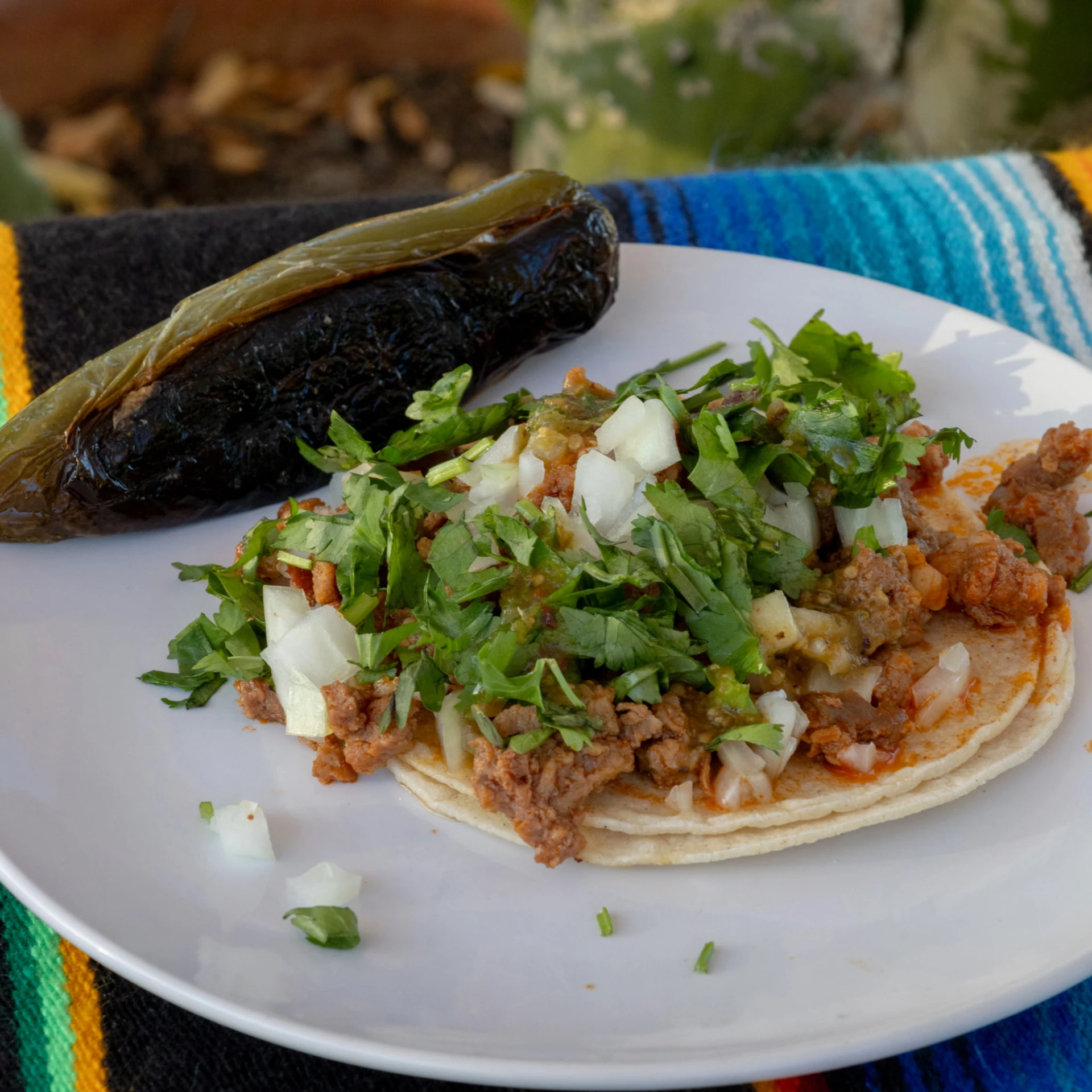 Street-style tacos on warm corn tortillas with cilantro, onions and green salsa beside a grilled jalapeno