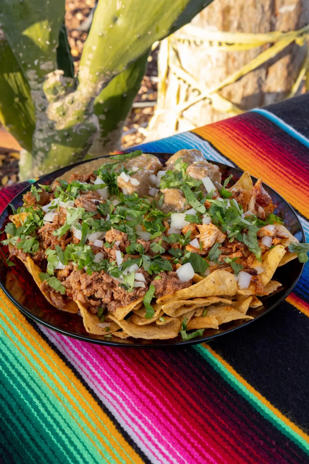 Super nacho platter loaded with chili verde, seasoned meats, cilantro and diced onions over crispy tortilla chips